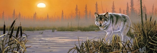 Winter Sunrise - 500 Piece Wolf Jigsaw Puzzle By Sunsout