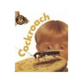 Cockroach (Bug Books) (Paperback)