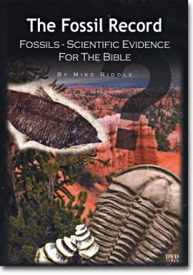 The Fossil Record: Fossils - Scientific Evidence for the Bible [DVD] [2004]