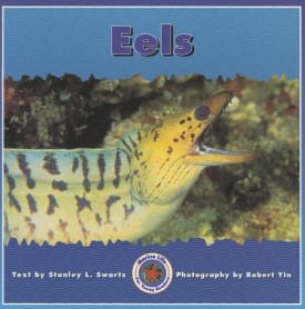 Eels (Dominie Marine Life Young Readers)