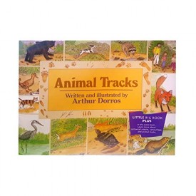 Animal Tracks (Paperback)