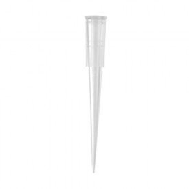 200 µL - Research-Grade Bevelled Reference Pipet Tips 200 µL , Axygen