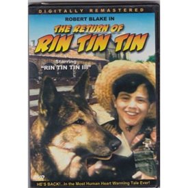 The Return Of Rin Tin Tin (Slim Case) (DVD)