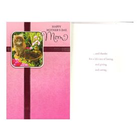 Mothers Day Greeting Card