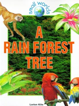 A Rain Forest Tree (Paperback) by Lorien Kite
