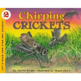 Chirping Crickets