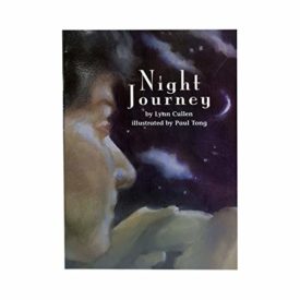 Night Journey (Paperback) by Lynn Cullen