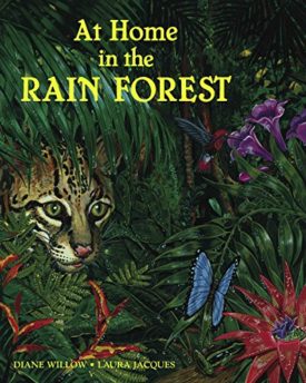 At Home in the Rain Forest (Paperback) by Diane Willow
