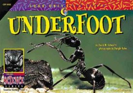 Underfoot (Paperback) by David M. Schwartz