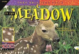 In the Meadow (Paperback) by David M. Schwartz
