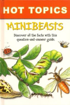 Minibeasts (Hot Topics)