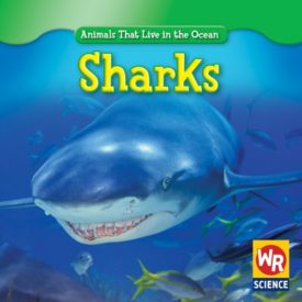 Sharks (Paperback) by Valerie Weber