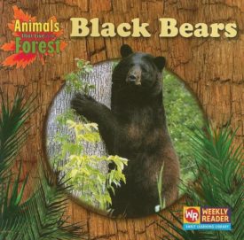 Black Bears (Animals That Live in the Forest) (Paperback)
