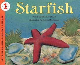 Starfish (Paperback) by Edith Thacher Hurd