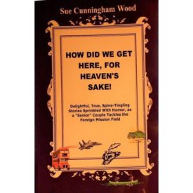 How Did We Get Here, For Heaven's Sake! (Paperback)