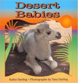 Desert Babies (Paperback) by Kathy Darling