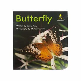 ALPHA 03-Butterfly (Paperback) by Jenny Feely,Sundance/Newbridge Educational Publishing