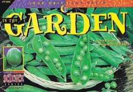 In the Garden (Paperback) by David M. Schwartz