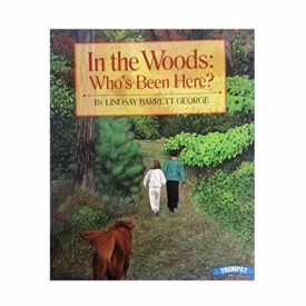 In the Woods (Paperback) by Lindsay Barrett George