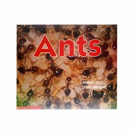 Ants (Paperback) by Melvin Berger,Gilda Berger