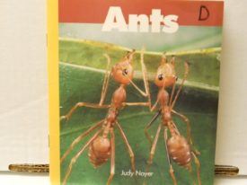 Ants (Paperback)