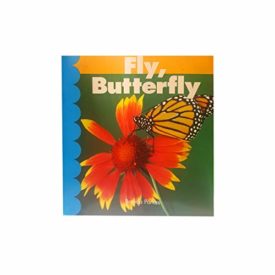 Fly Butterfly (Paperback) by Brenda Parkes