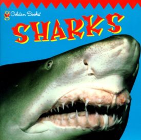 Sharks (Paperback)