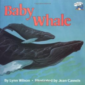 Baby Whale (Reading Railroad) (Paperback)