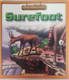 Surefoot (Paperback)