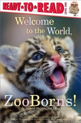 Welcome to the World, Zooborns! (Paperback) by Andrew Bleiman,Chris Eastland
