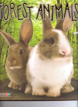 Forest Animals (Paperback)