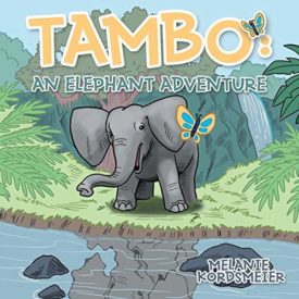 Tambo (Paperback) by Melanie Kordsmeier