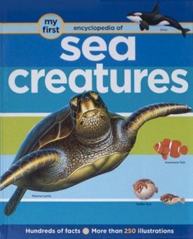My First Encyclopedia of Sea Creatures (Hardcover) by Robert Coupe