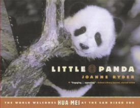Little Panda (Paperback) by Joanne Ryder