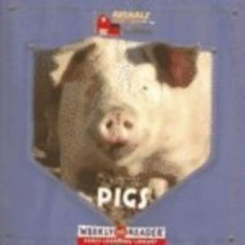 Pigs (Paperback) by JoAnn Early Macken