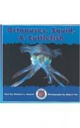 Octopuses, Squid & Cuttlefish (Paperback) by Stanley L. Swartz