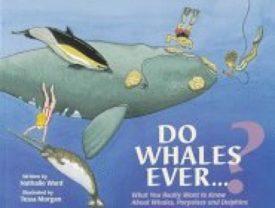 Do Whales Ever-- ? (Paperback) by Nathalie Ward