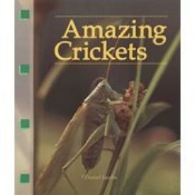 Amazing Crickets (Newbridge Discovery Links) (Paperback)