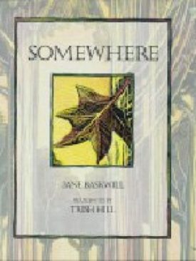 Somewhere (Paperback) by Jane Baskwill