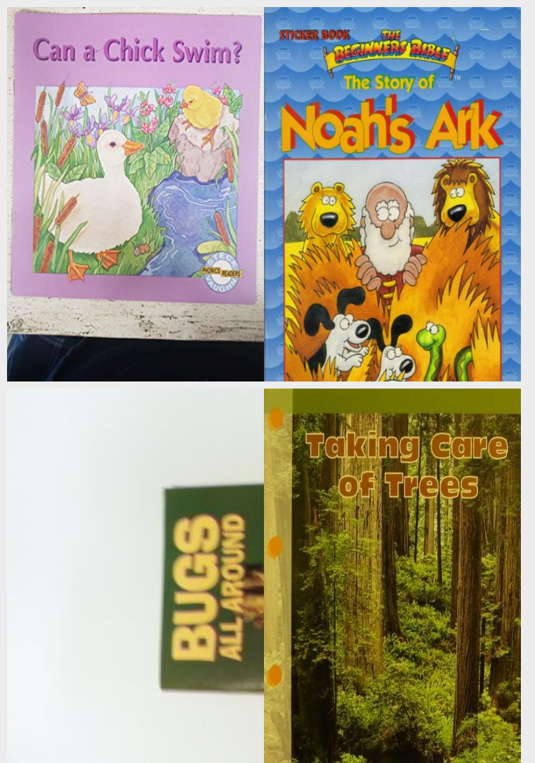 Children's Books Archives - Nokomis Bookstore  Gift Shop