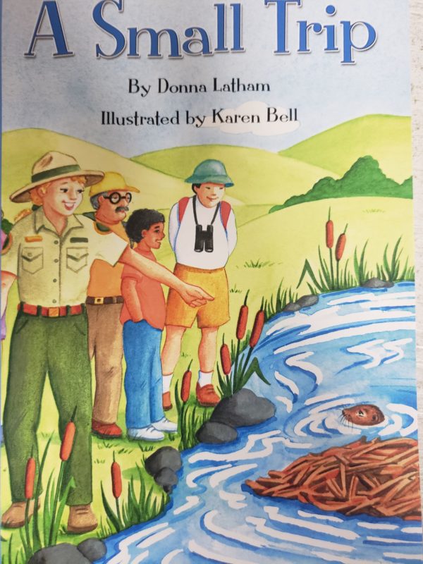 Children's Fun & Educational 4 Pack Paperback Book Bundle (Ages 3-5): READING 2007 INDEPENDENT LEVELED READER GRADE K UNIT 3 LESSON 6 ADVANCED, Spinning a Web: Mini Book, Animated Stories from the Book of Mormon Coloring Book, READING 2007 INDEPENDENT LEVELED READER GRADE K UNIT 6 LESSON 3 ADVANCED