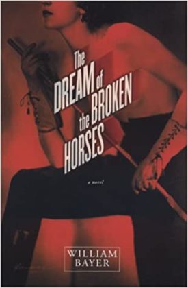 The Dream of the Broken Horses (Hardcover)