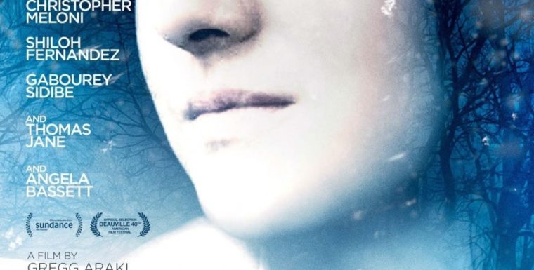 White Bird in a Blizzard