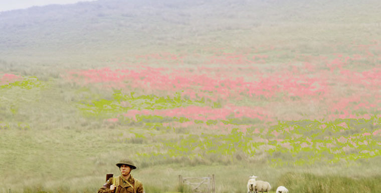 The War I Knew