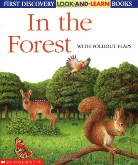 In the Forest (Hardcover) by Danielle Denega,Gallimard Jeunesse