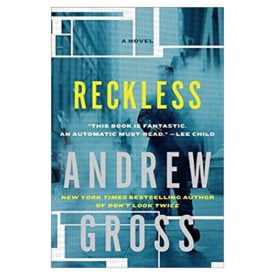 Reckless: A Novel (Hardcover)