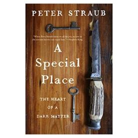 A Special Place: The Heart of a Dark Matter (Paperback)