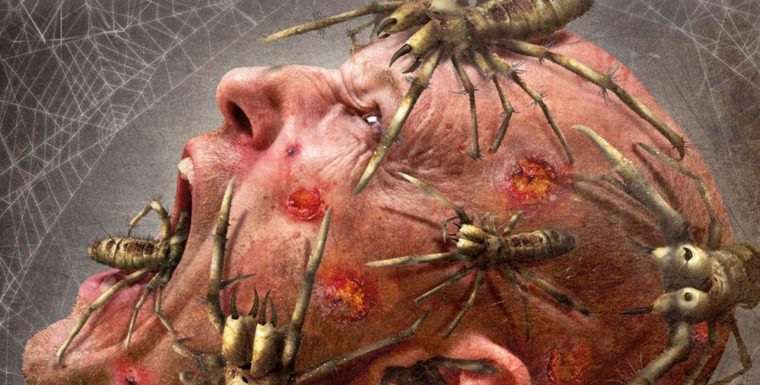 Camel Spiders