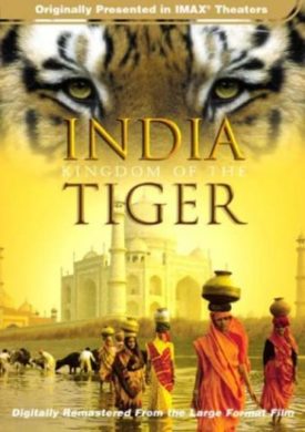India - Kingdom of the Tiger (Large Format) (DVD)