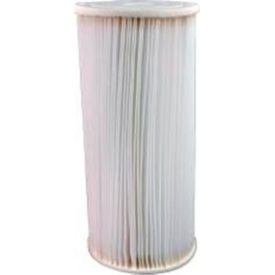 Pentair Water OmniFilter RS6 Heavy Duty Sediment Water Filter Cartridge 30 Micron